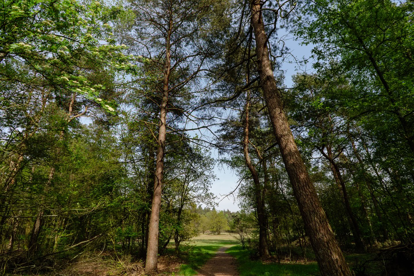 Photo 34 of Kerkendelweg 30-32