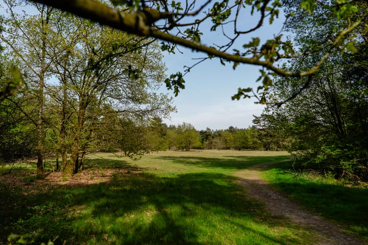 Foto 35 van Kerkendelweg 30-32