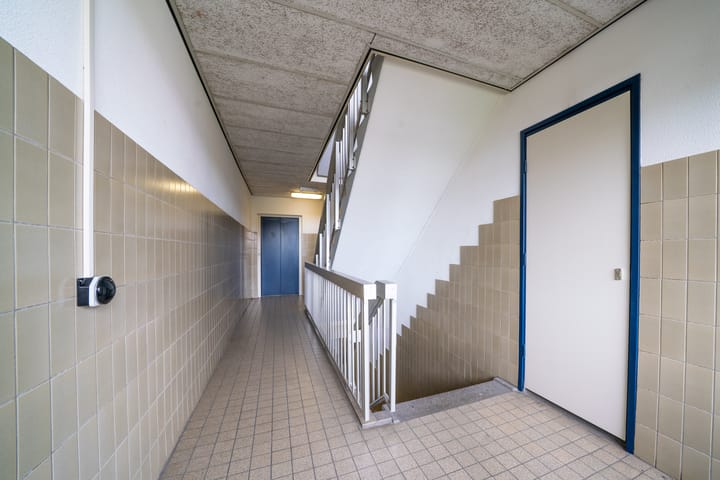 Photo 8 of Westvest 233