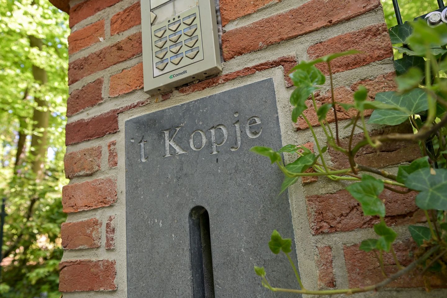 Foto 5 van Koekoekslaan 5