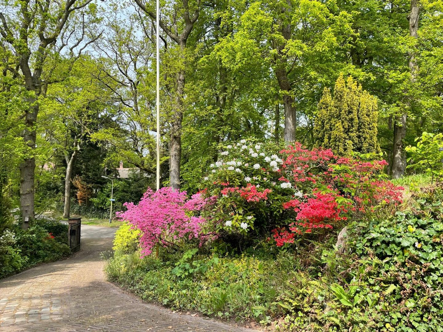 Foto 10 van Koekoekslaan 5