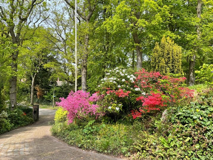 Foto 10 van Koekoekslaan 5