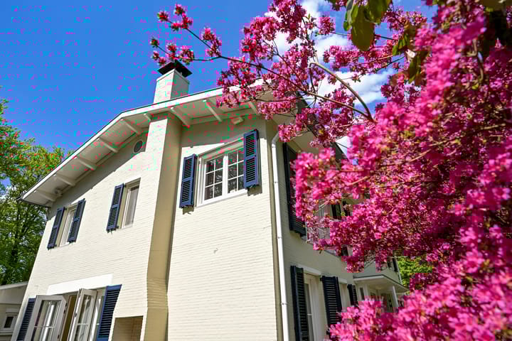 Foto 44 van Koekoekslaan 5