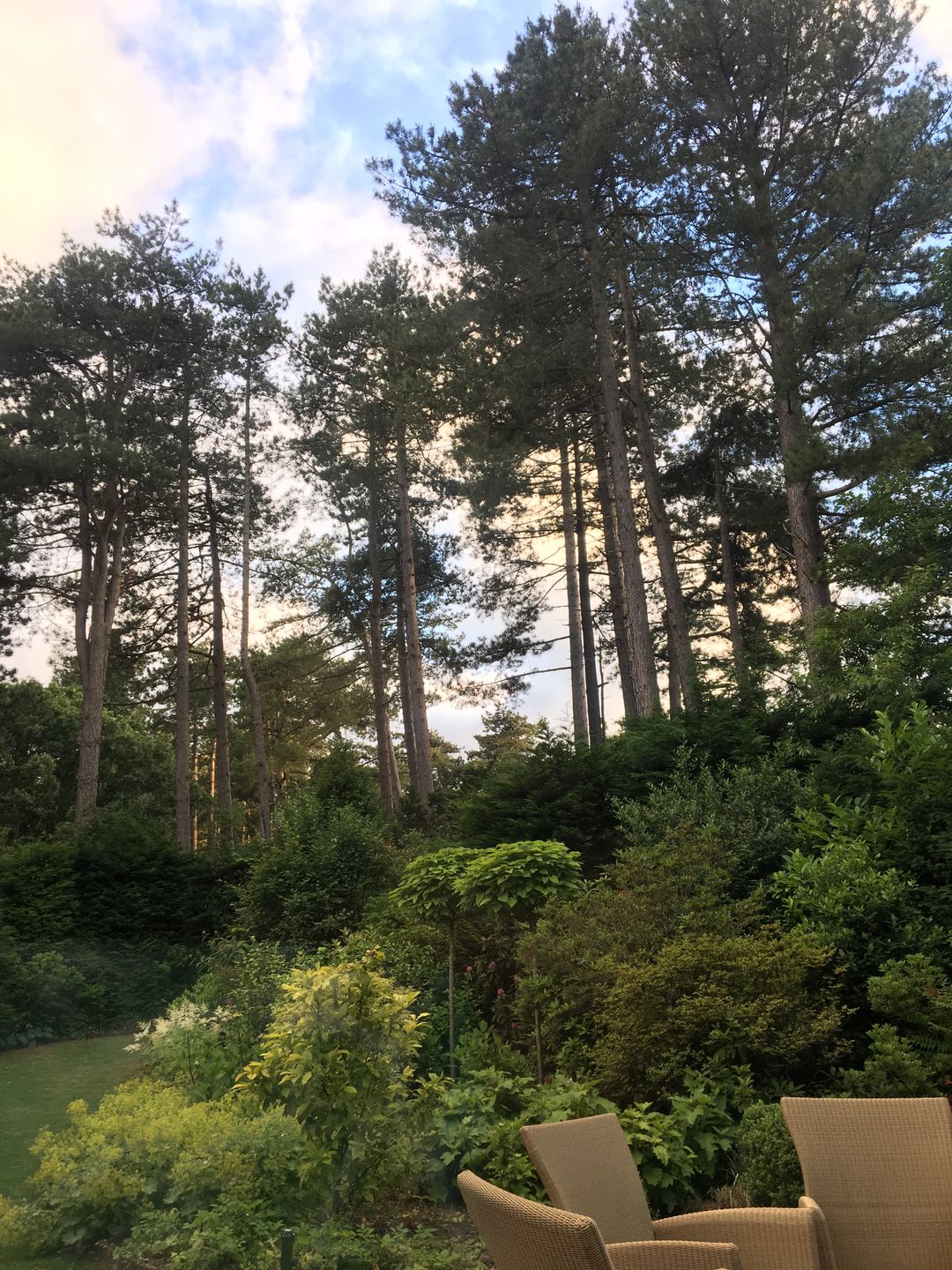 Foto 46 van Koekoekslaan 5