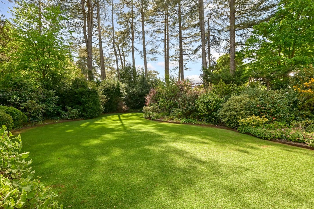 Foto 47 van Koekoekslaan 5