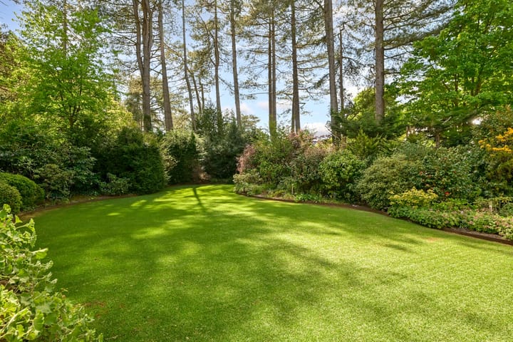 Foto 47 van Koekoekslaan 5