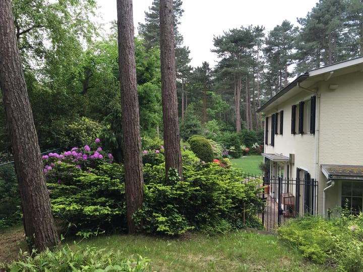 Foto 52 van Koekoekslaan 5