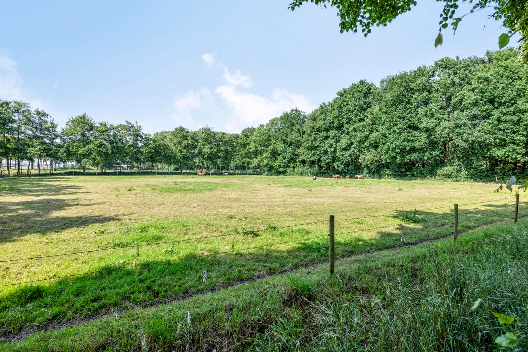 Foto 32 van Peellaan 85