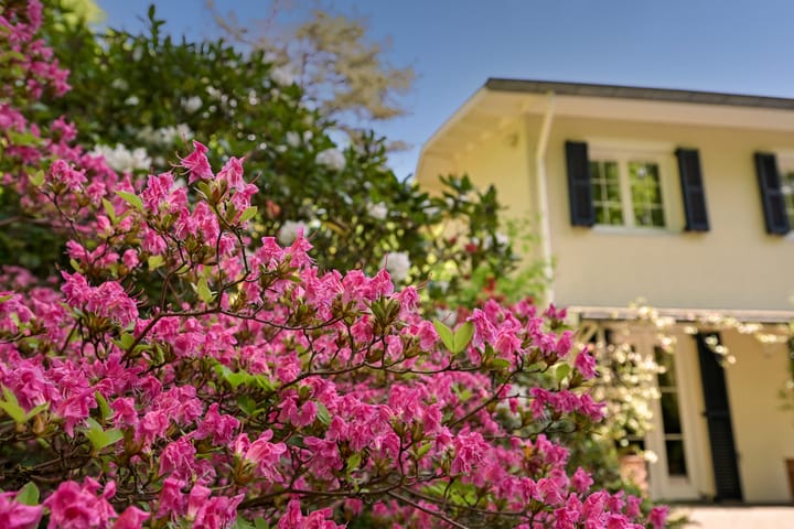 Foto 54 van Koekoekslaan 5