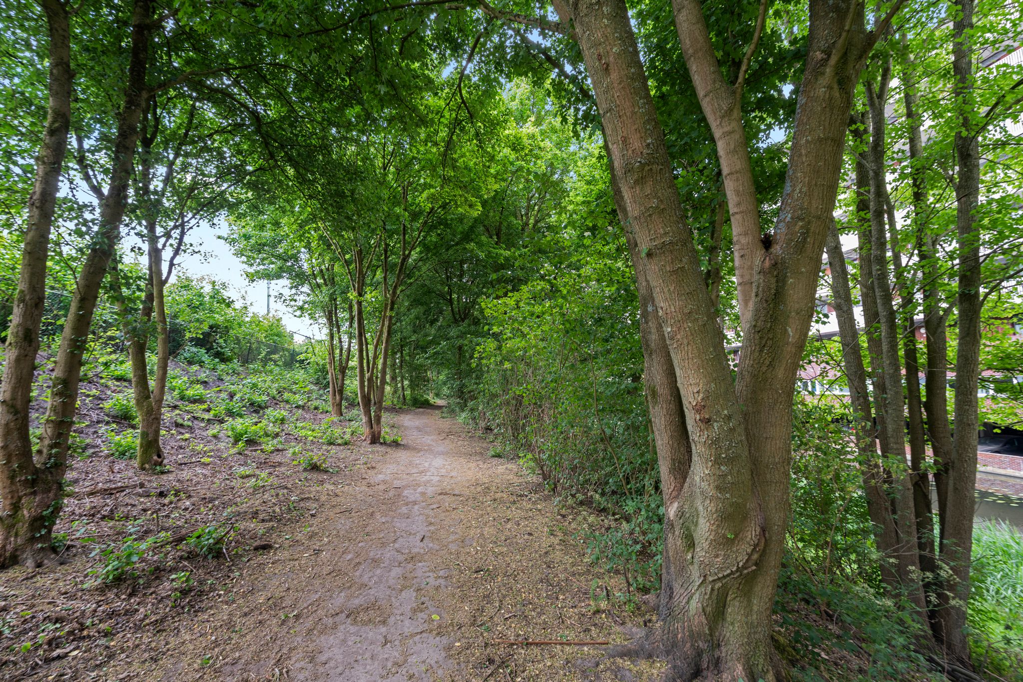 Foto 27 van Ottho Heldringstraat 33-W