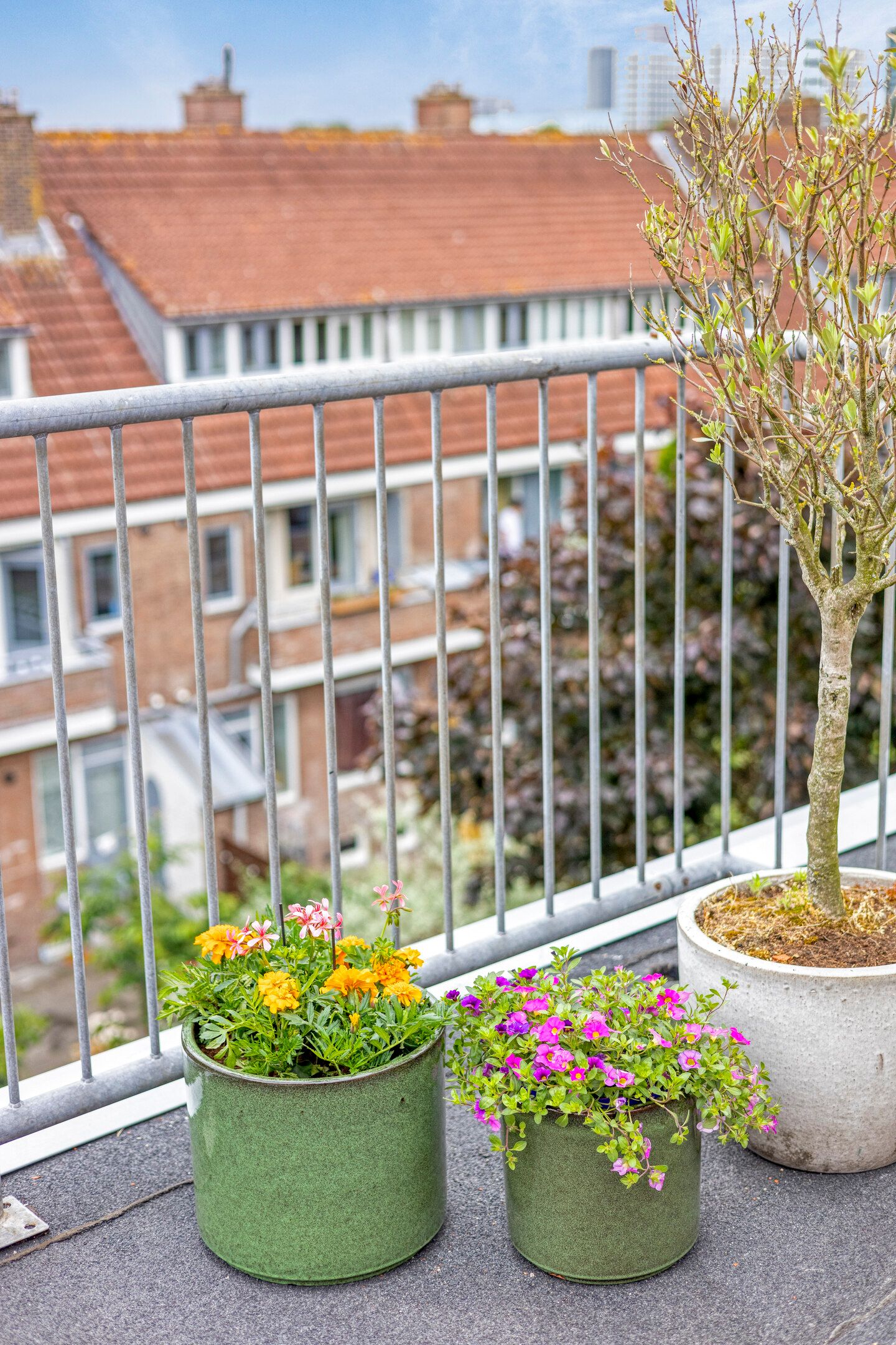 Foto 48 van Laan van Nieuw Oosteinde 358