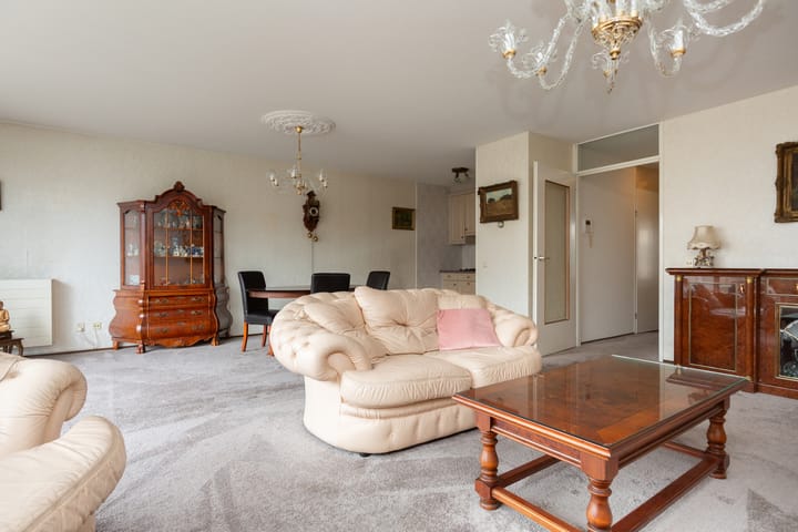 Foto 7 van Palaceplein 209