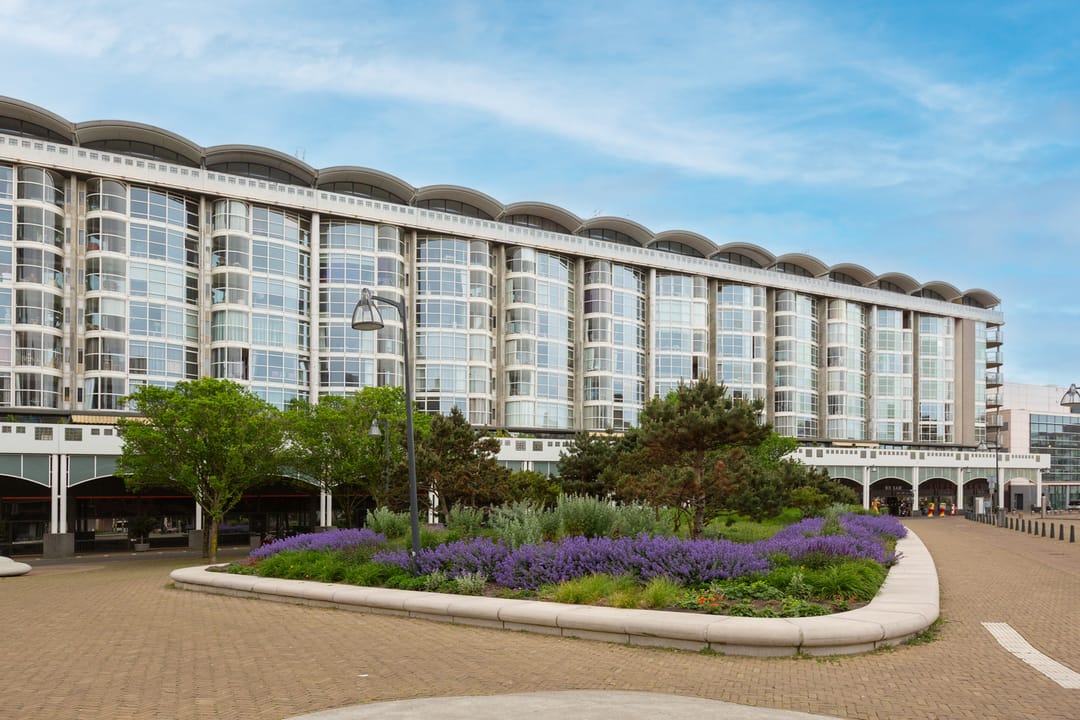 Foto 43 van Palaceplein 209