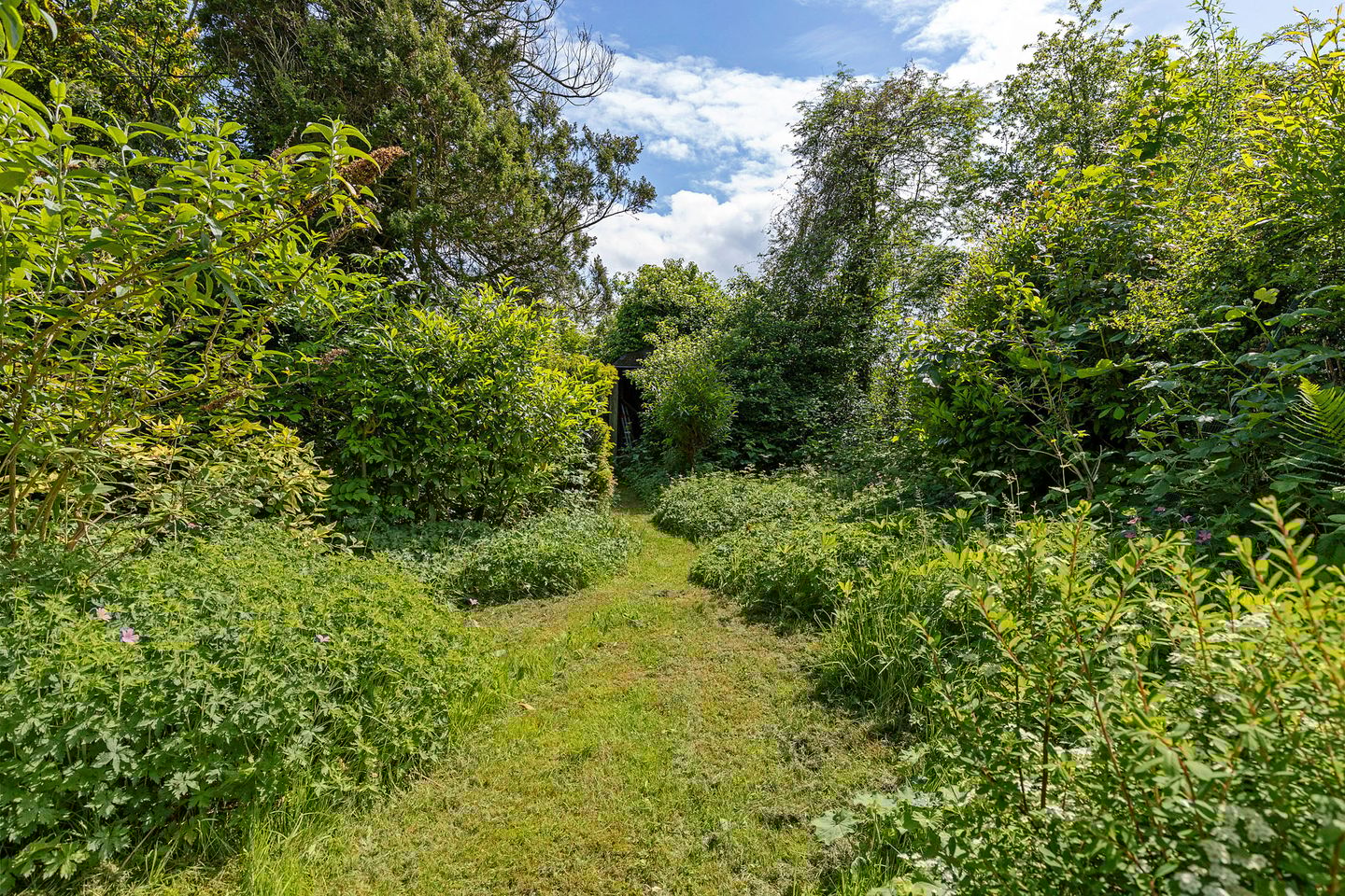 Foto 50 van Julianaweg 4