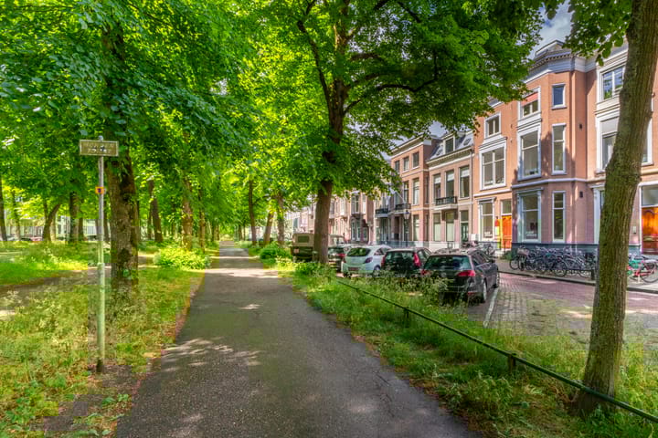 Foto 5 van Maliebaan 90