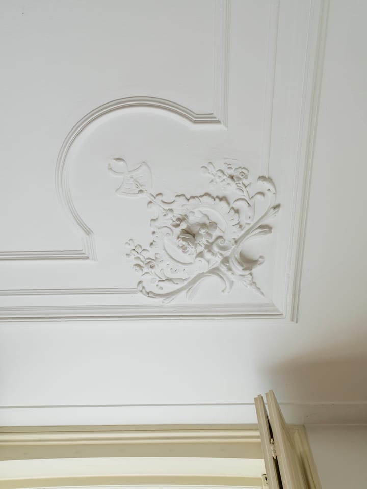 Foto 16 van Maliebaan 90