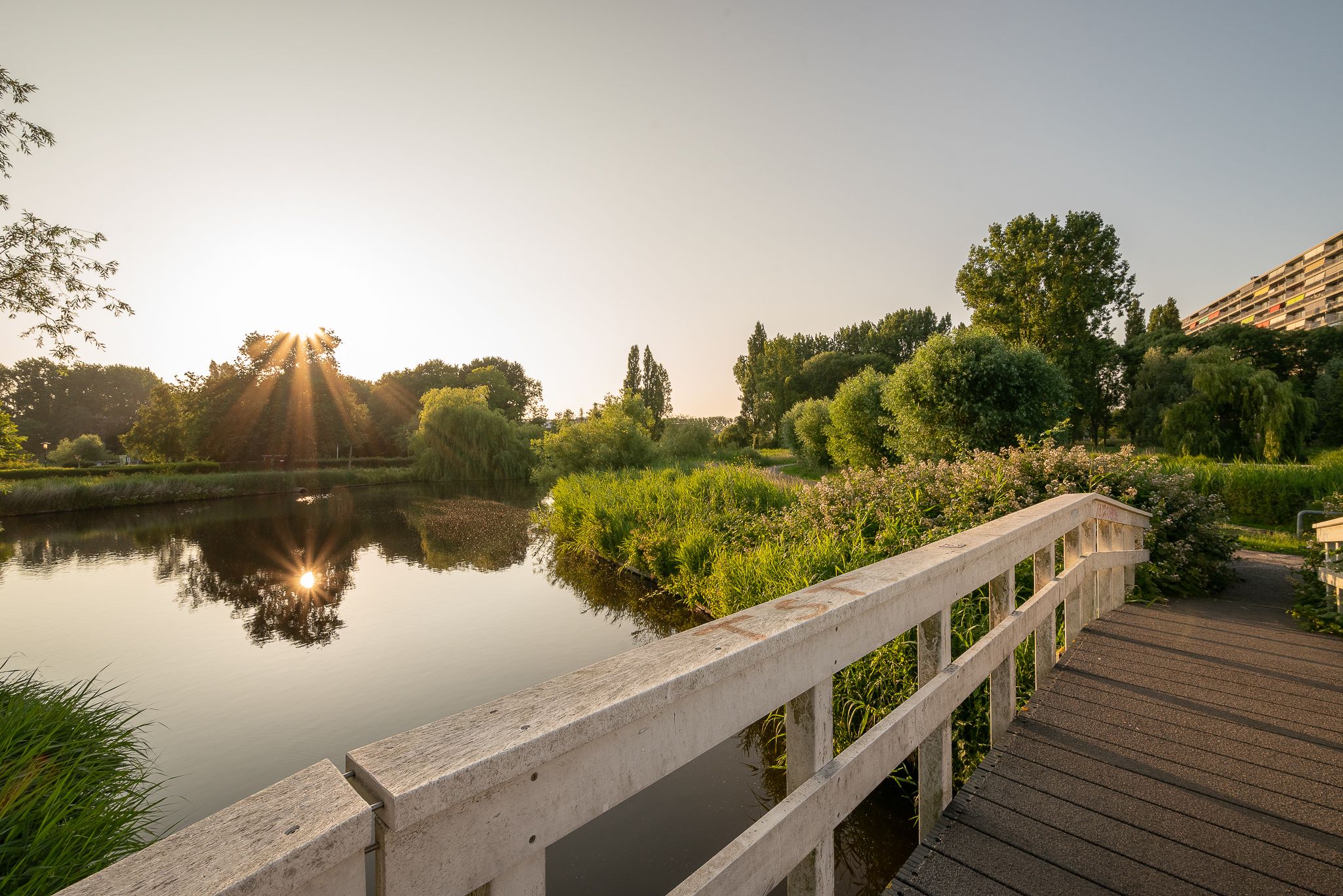 Foto 48 van Cornelis van Vugtstraat 6