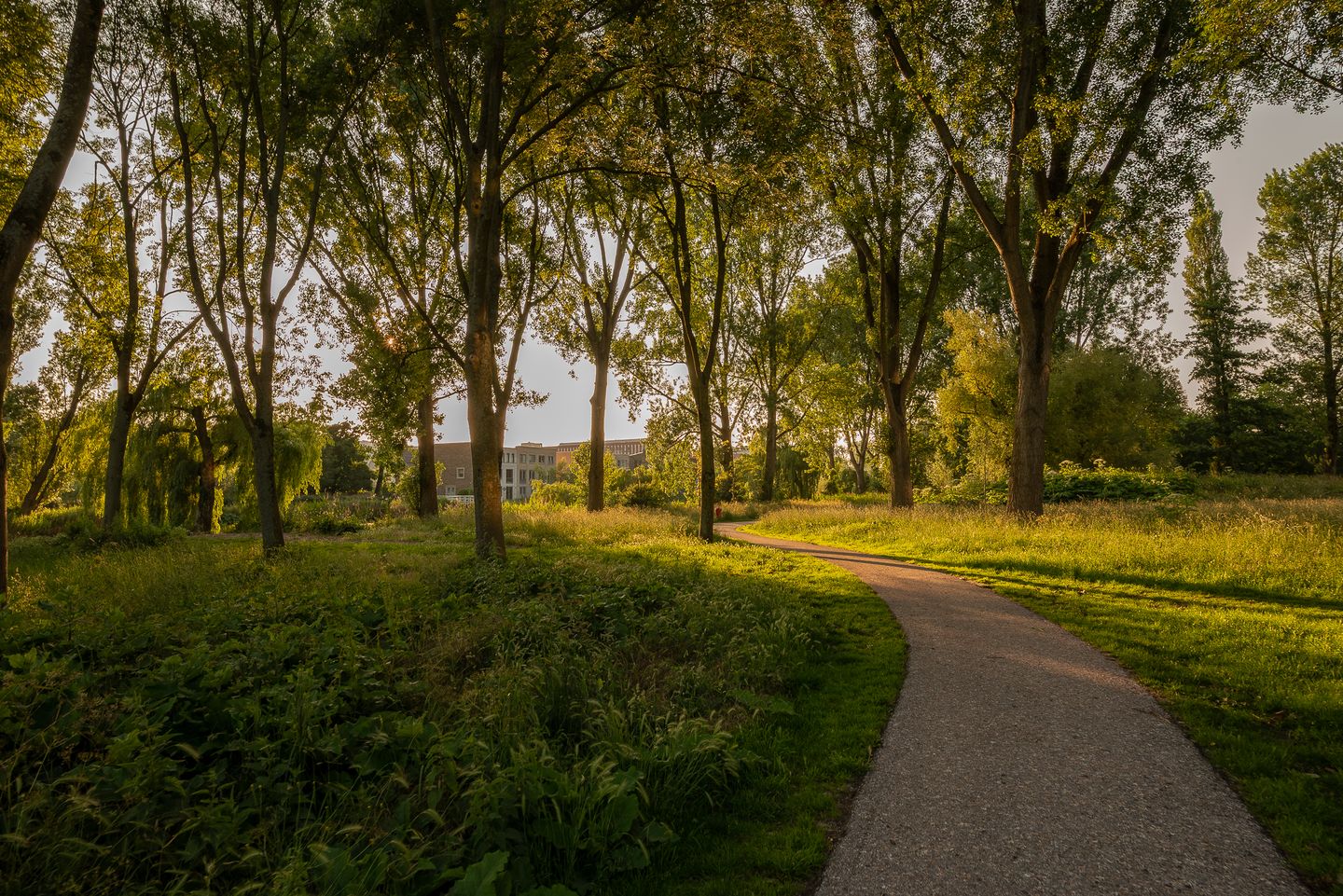 Foto 49 van Cornelis van Vugtstraat 6