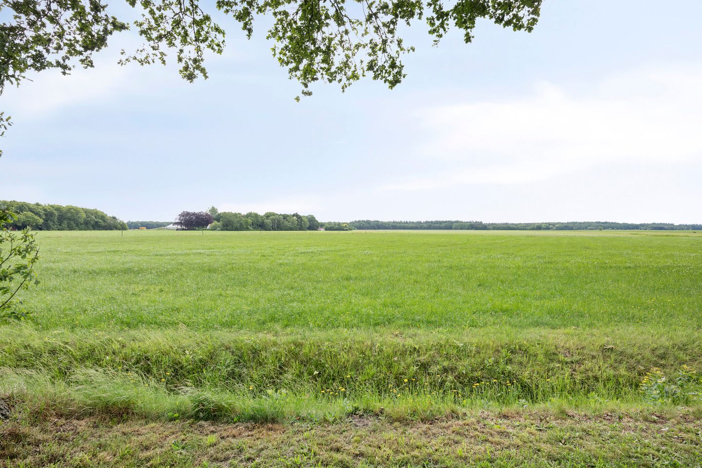 Foto 34 van Boijlerweg 175