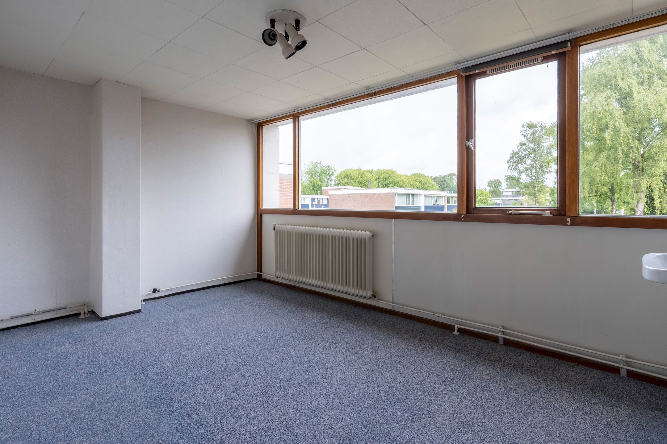 Foto 15 van Laan van de Iemenhees 350