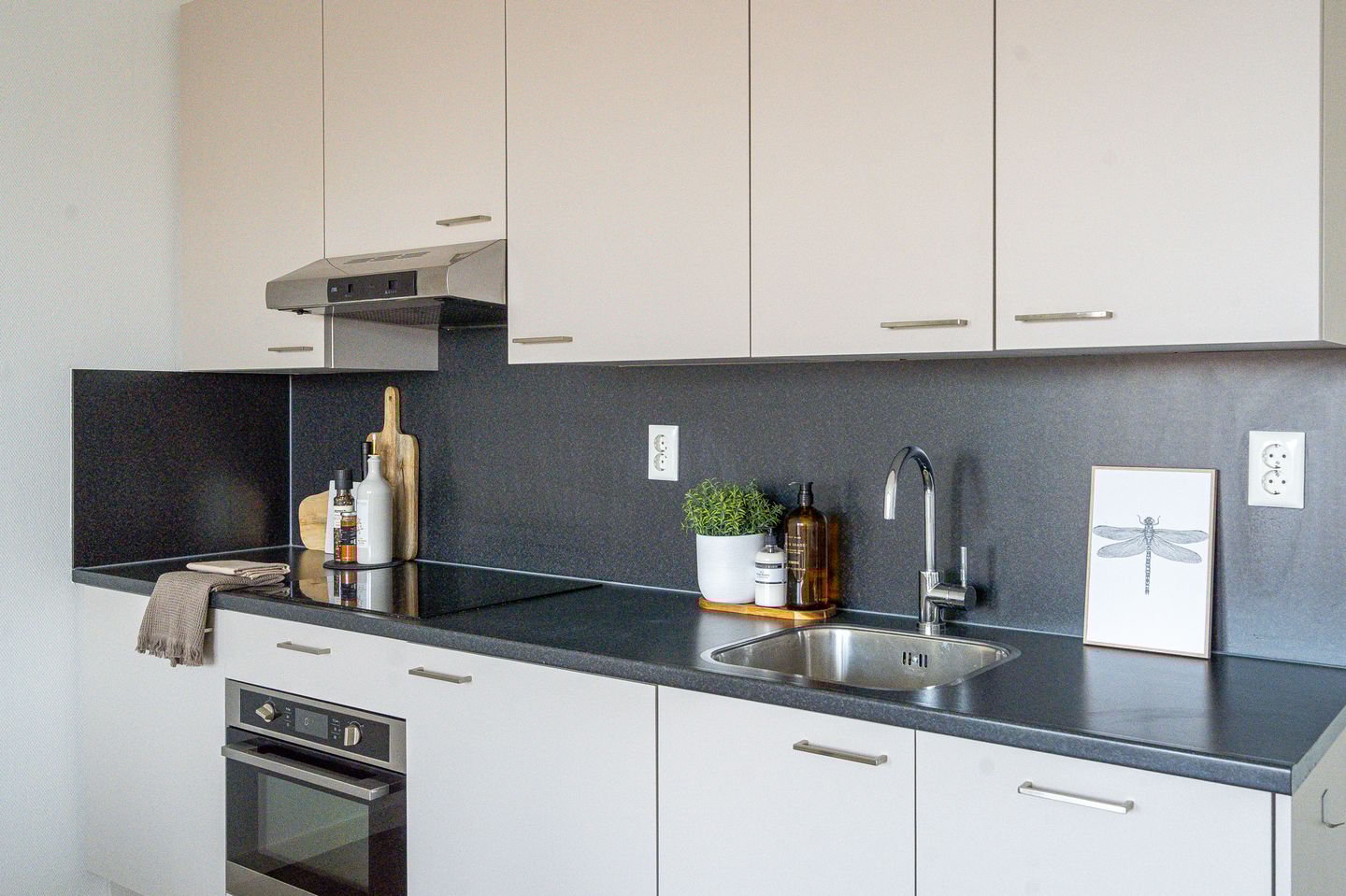 Foto 4 van San Marinostraat 59