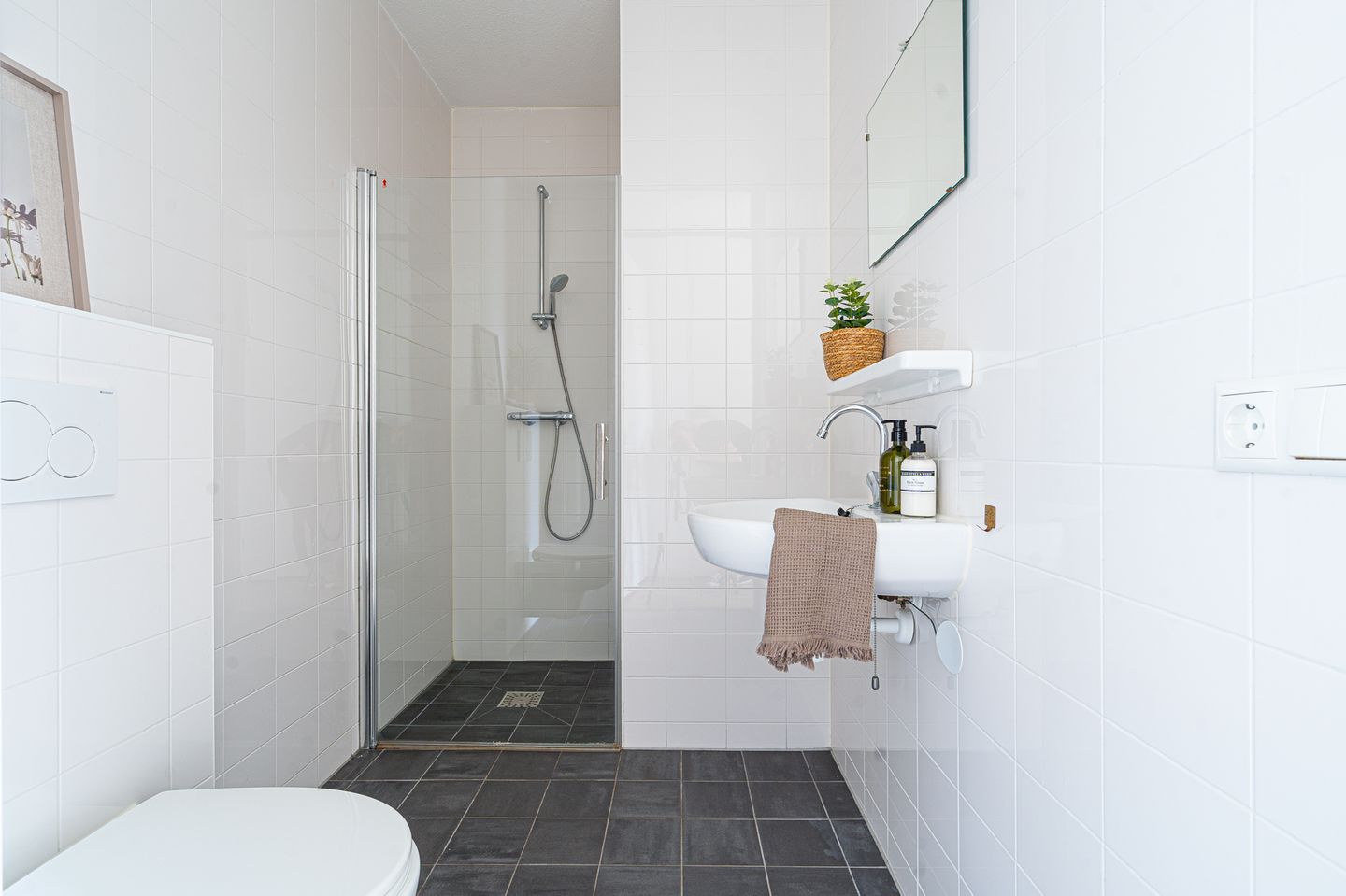 Foto 29 van San Marinostraat 59