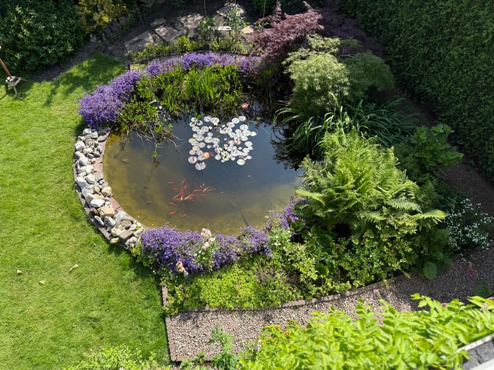 Foto 4 van Rozenobel 34