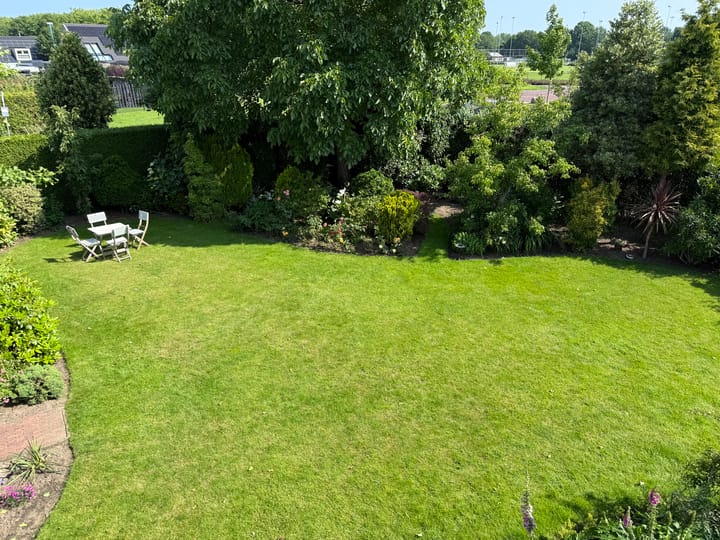 Foto 37 van Rozenobel 34