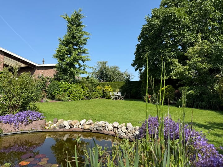 Foto 3 van Rozenobel 34