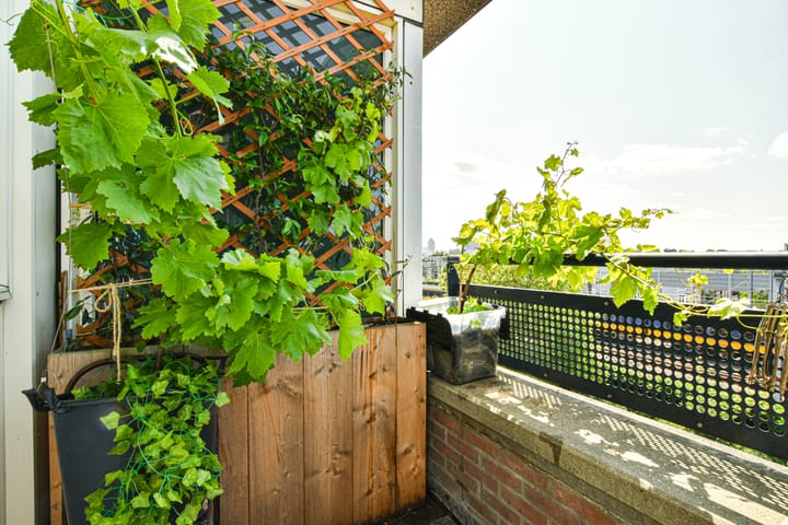 Foto 19 van Celebesstraat 42-D