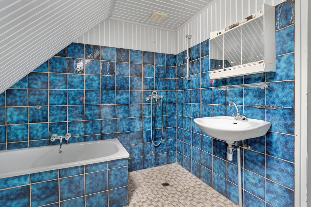 Foto 28 van Tolhuisweg 5