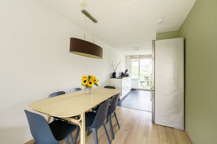 Foto 11 van Meijendel 3