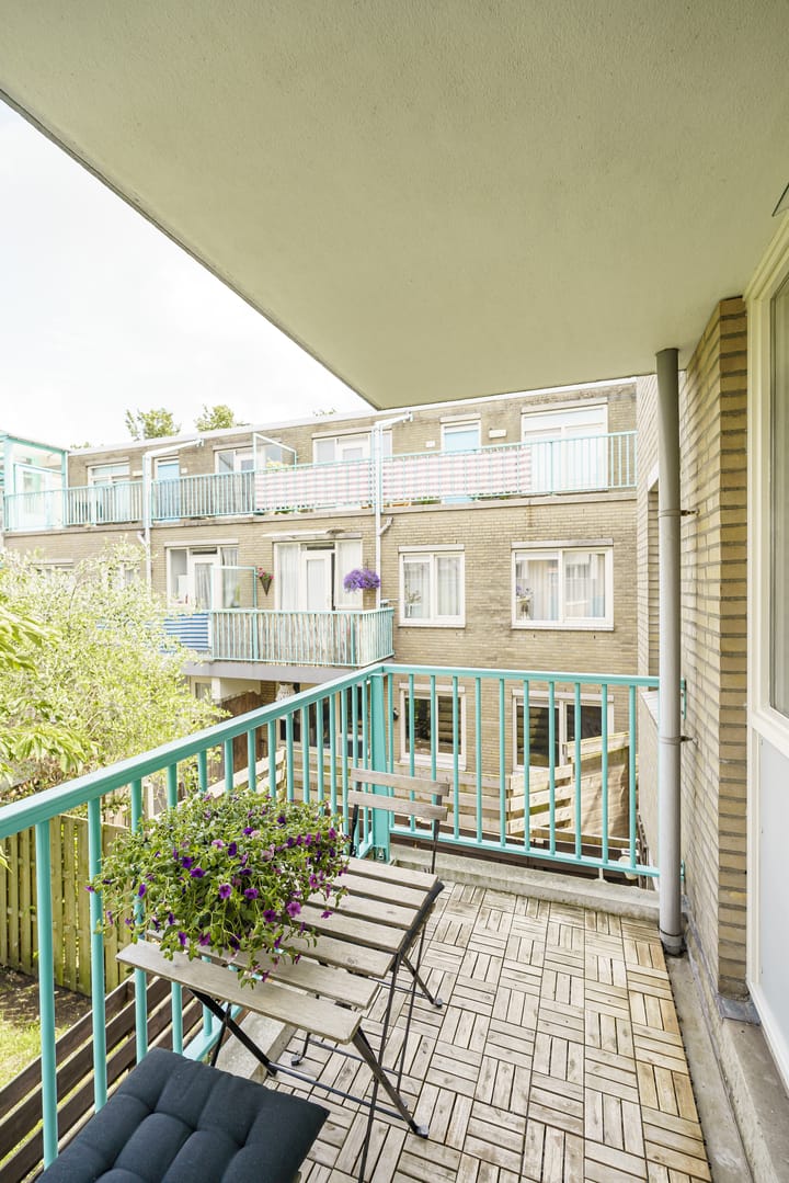 Foto 18 van Meijendel 3