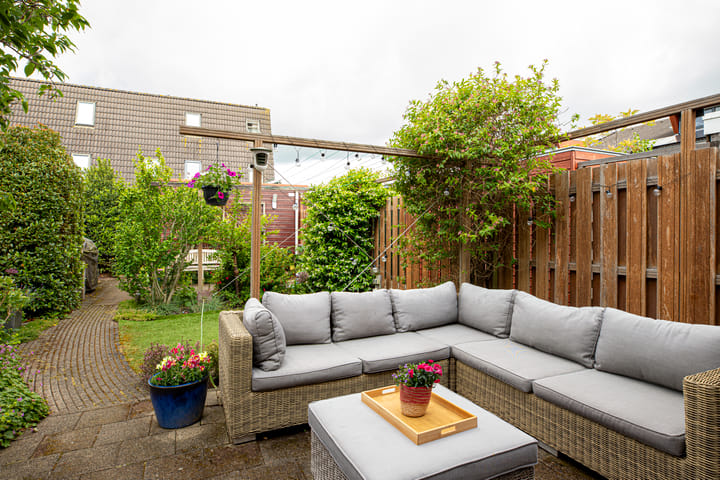 Foto 3 van Muurkruid 1