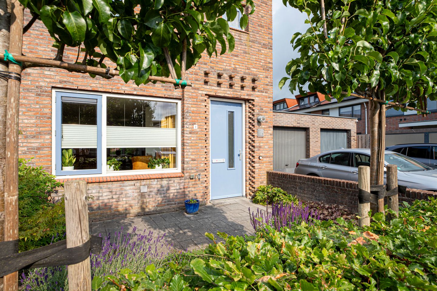 Foto 4 van Muurkruid 1