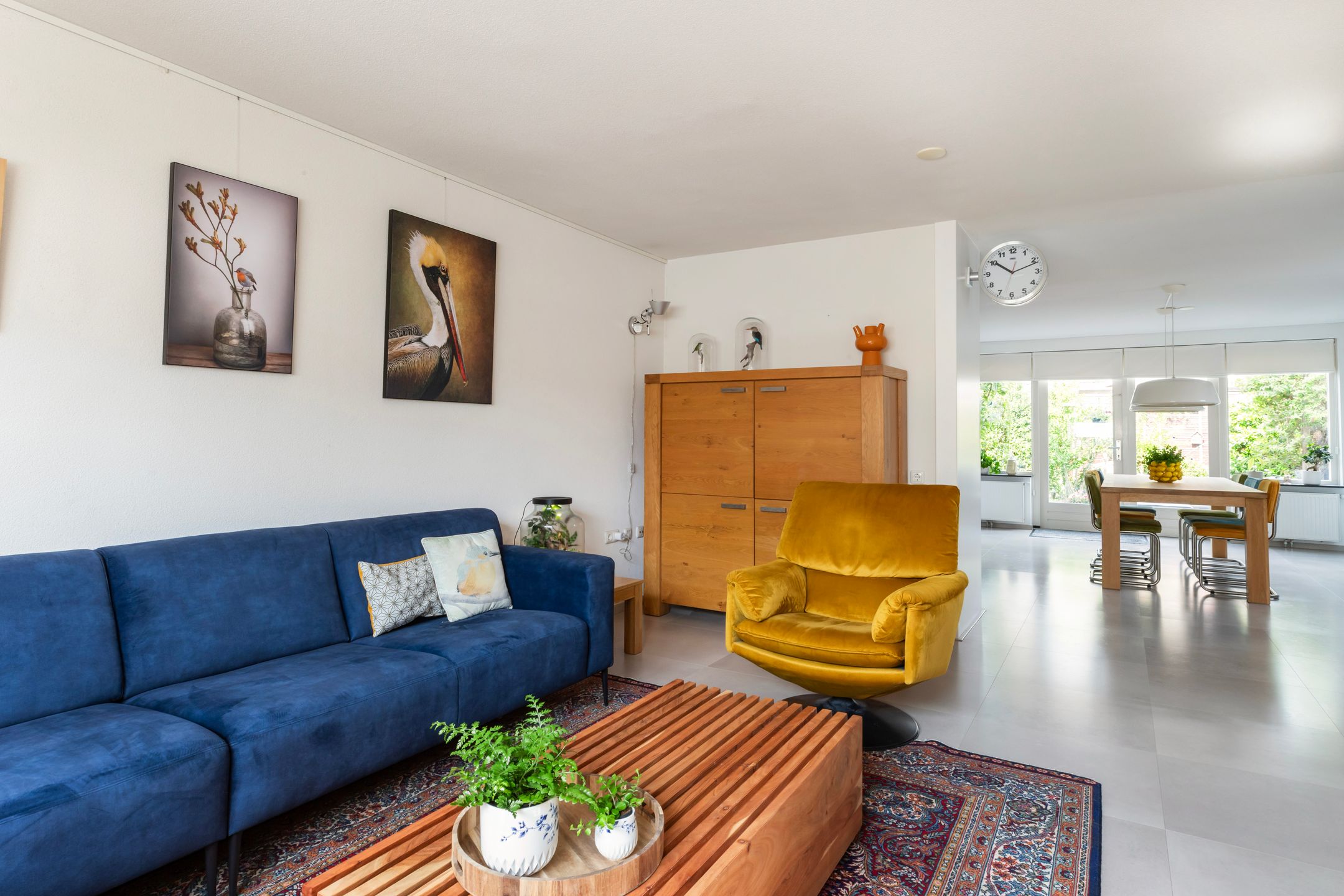 Foto 6 van Muurkruid 1