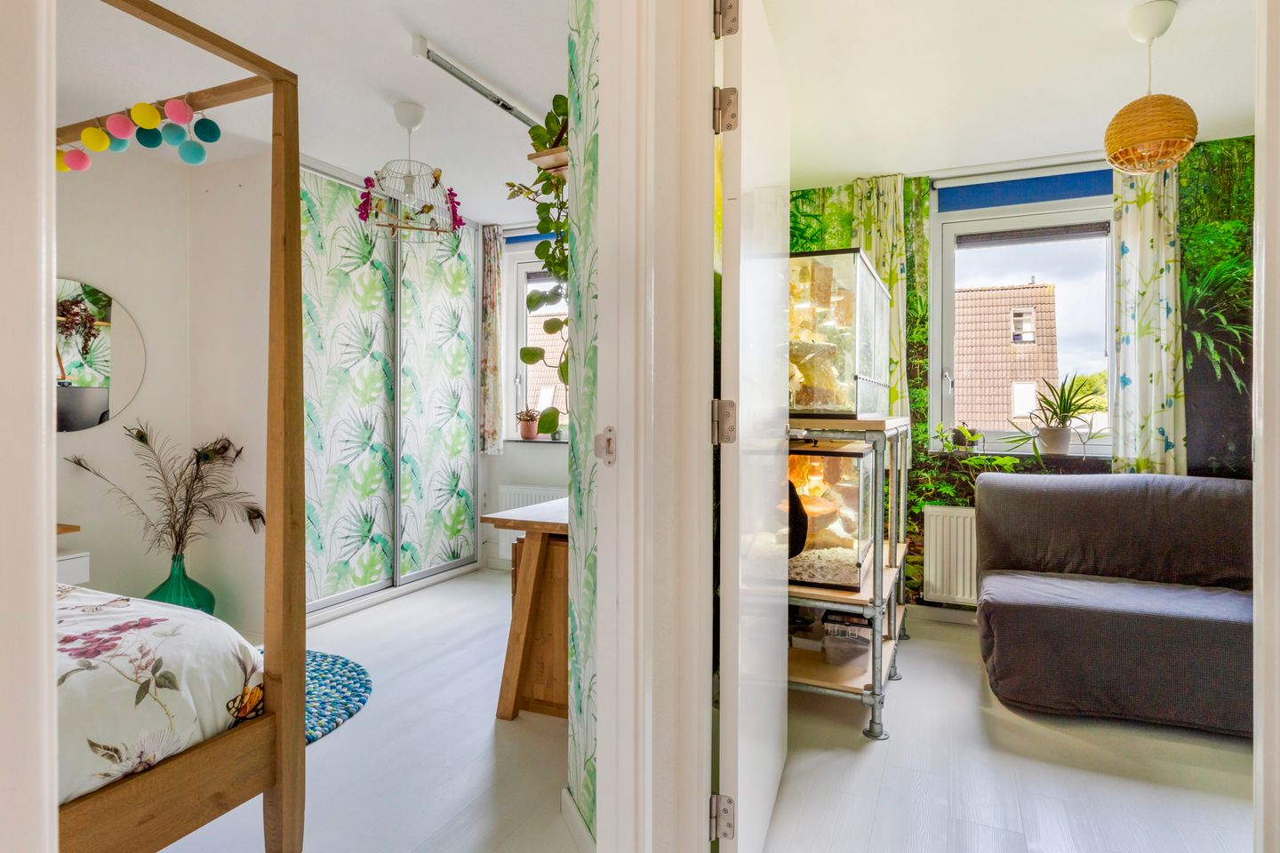 Foto 14 van Muurkruid 1