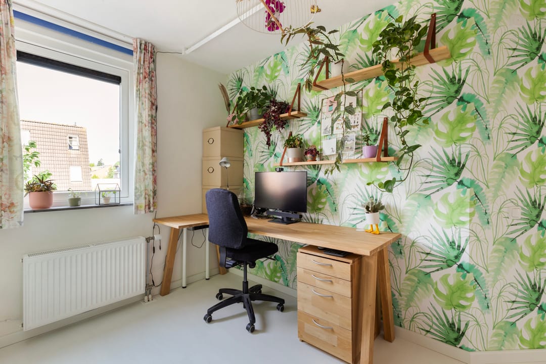 Foto 16 van Muurkruid 1