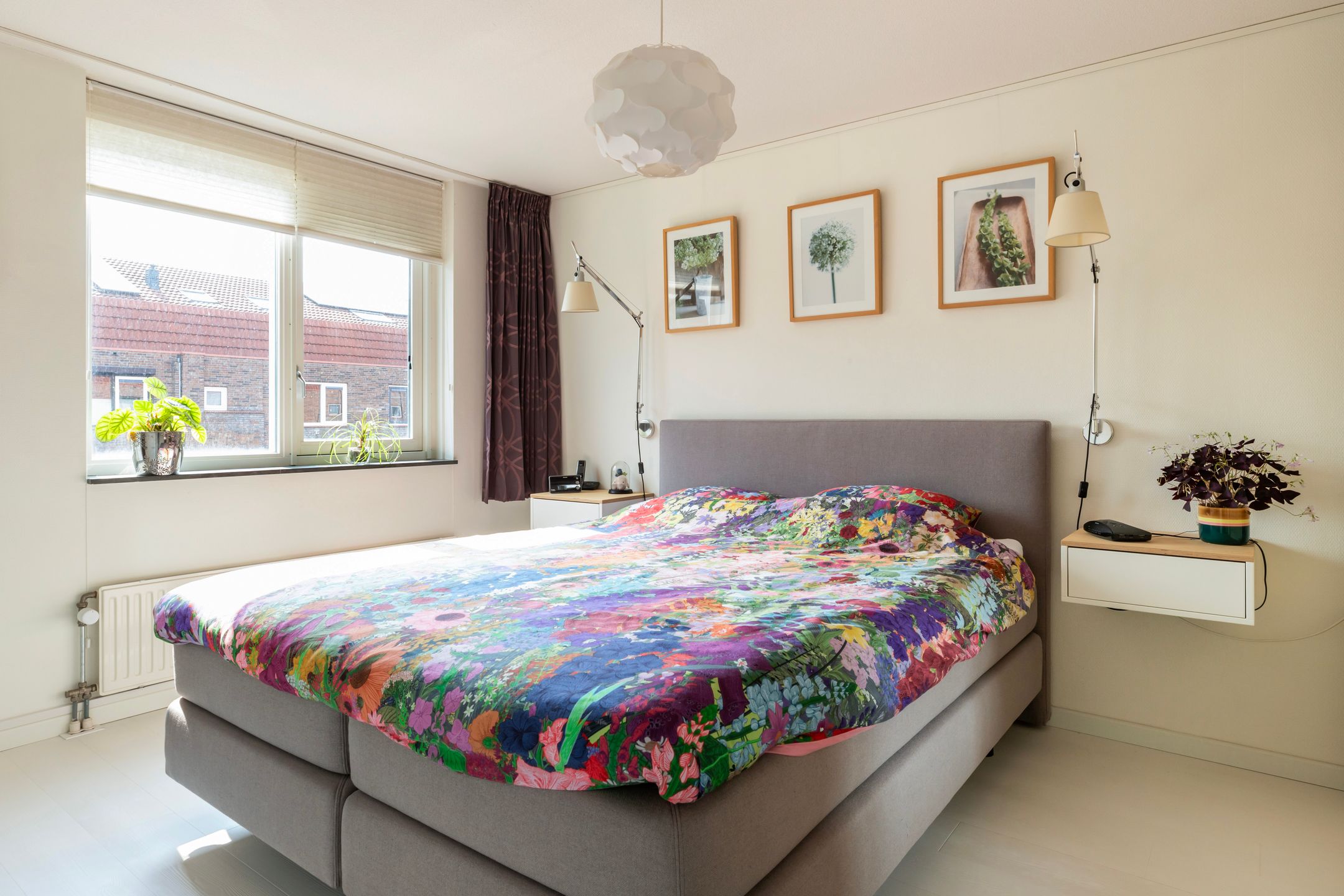 Foto 18 van Muurkruid 1