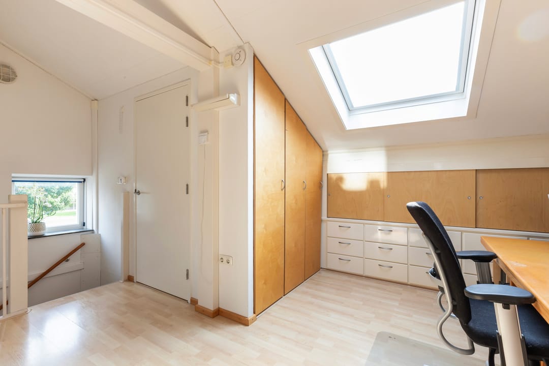 Foto 22 van Muurkruid 1