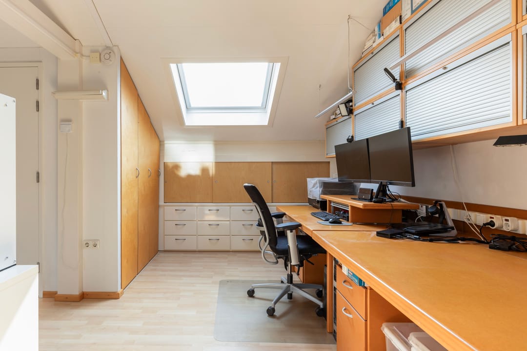 Foto 23 van Muurkruid 1