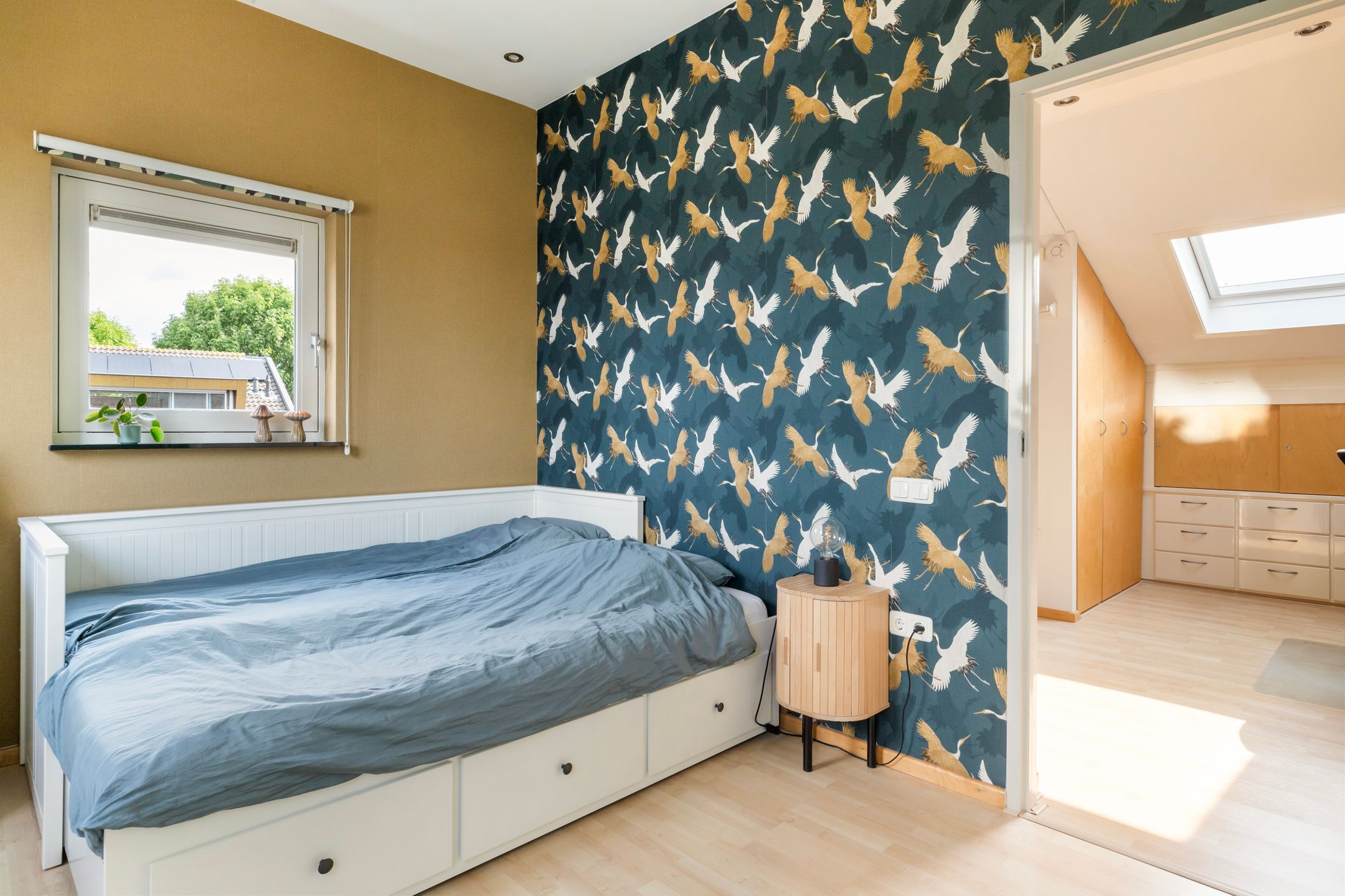 Foto 24 van Muurkruid 1