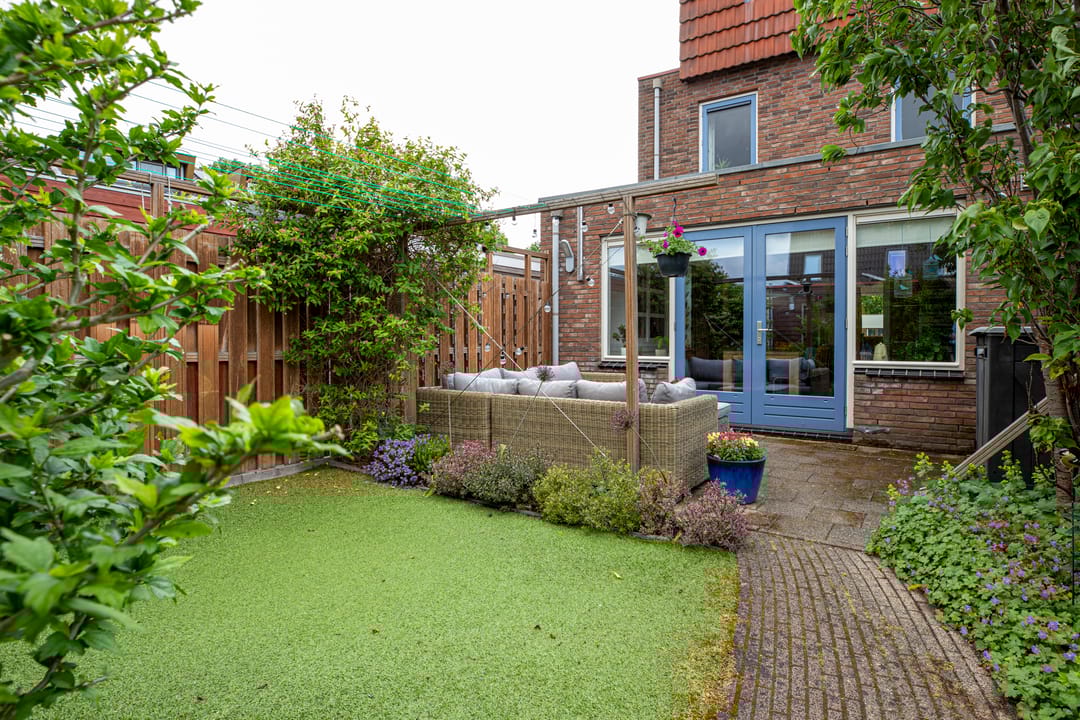 Foto 26 van Muurkruid 1