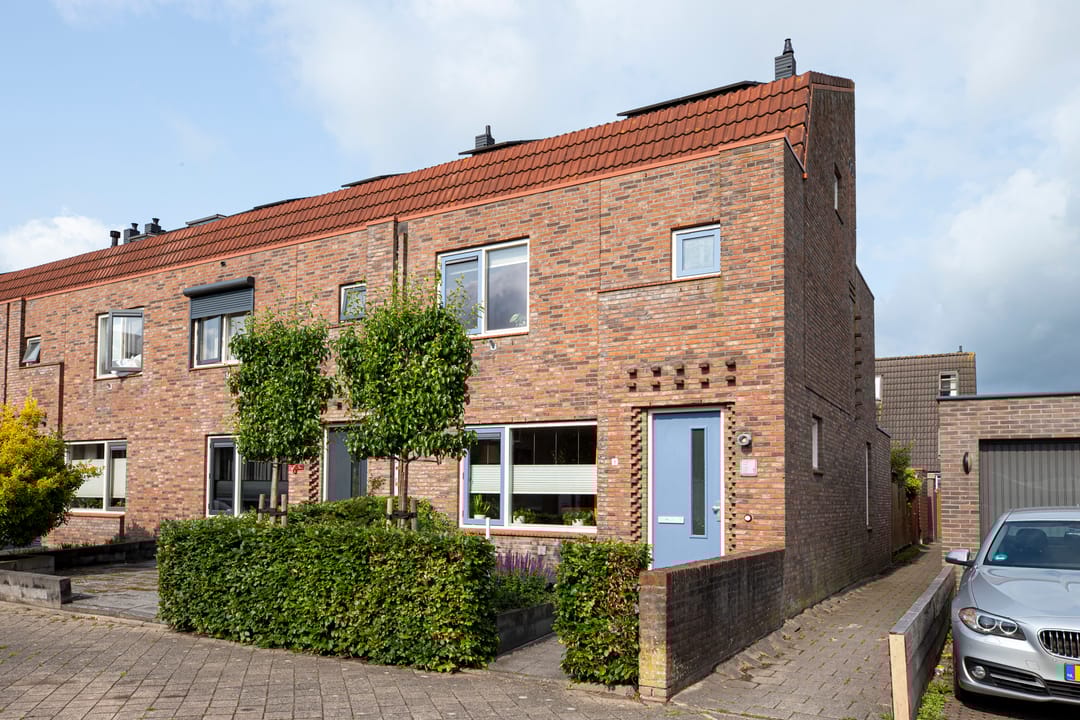 Foto 1 van Muurkruid 1