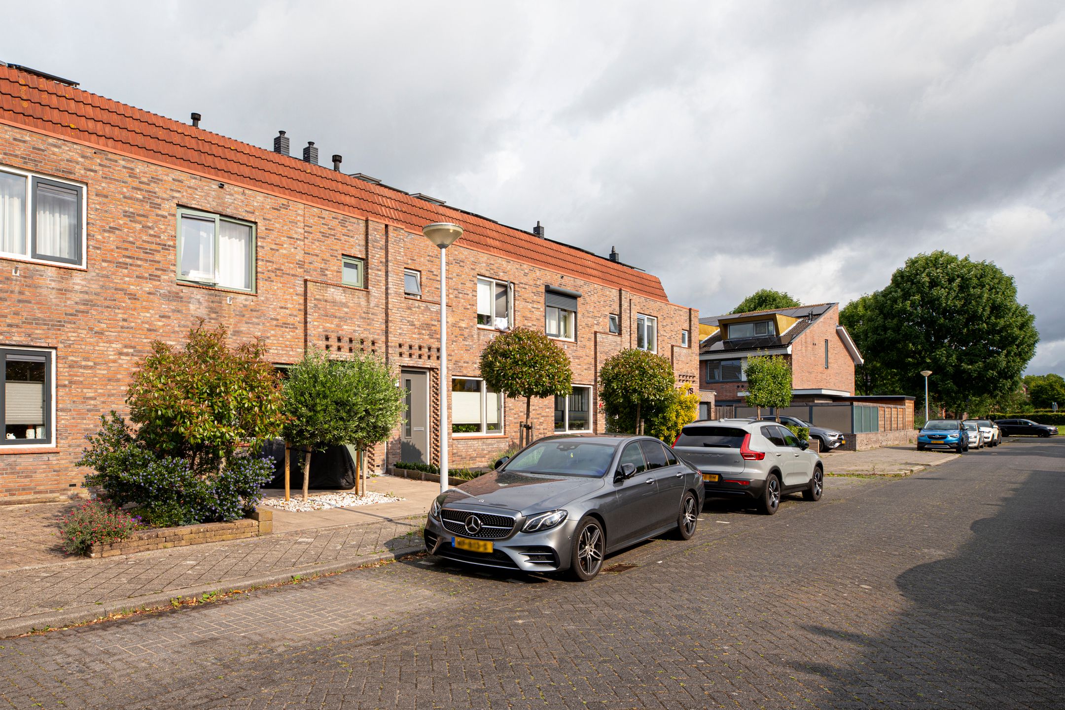 Foto 30 van Muurkruid 1