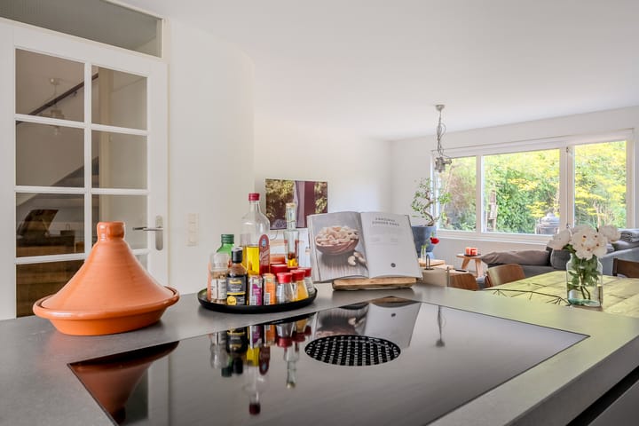 Foto 7 van Rosa Spierplantsoen 125