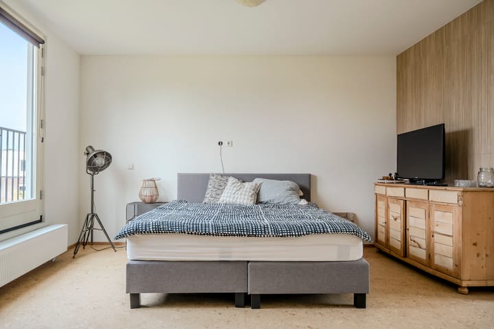 Foto 23 van Rosa Spierplantsoen 125