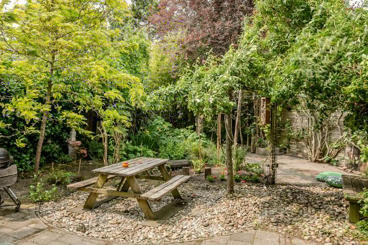 Foto 32 van Rosa Spierplantsoen 125