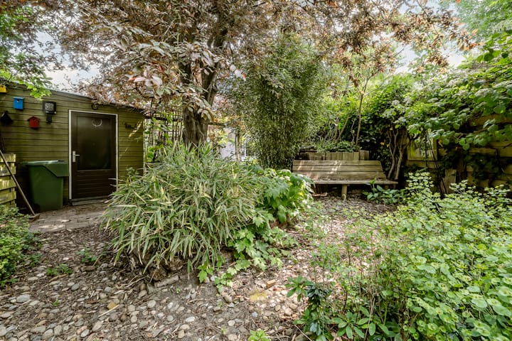 Foto 35 van Rosa Spierplantsoen 125