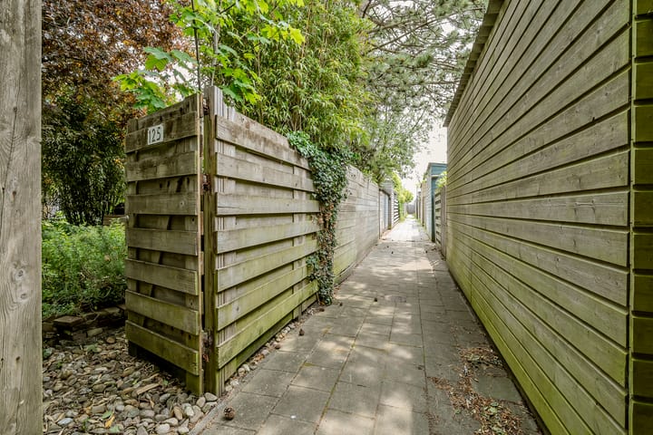 Foto 37 van Rosa Spierplantsoen 125